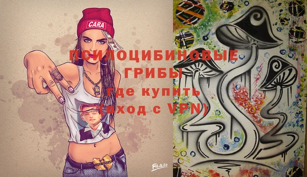 бутират Алексин