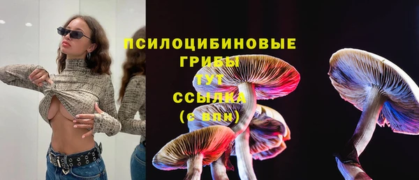 ешки Дмитриев