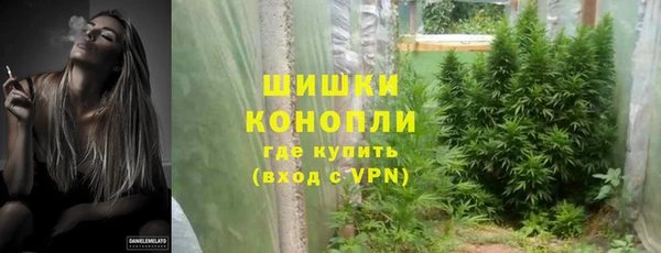 соль ск Дмитровск