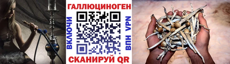 Галлюциногенные грибы Cubensis  хочу   Богучар 
